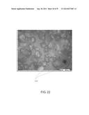 PROCESS FOR DRYING A WET FILM WITH CONTROL OF LOSS ON DRYING diagram and image