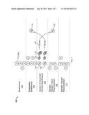 ELECTRONIC VARIANT CLASSIFICATION diagram and image