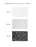 RAPID DETERMINATION OF MICROBIAL GROWTH AND ANTIMICROBIAL SUSCEPTIBILITY diagram and image