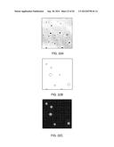 RAPID DETERMINATION OF MICROBIAL GROWTH AND ANTIMICROBIAL SUSCEPTIBILITY diagram and image