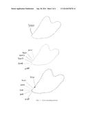 Method for Encoding of Anatomic Curves diagram and image