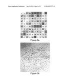 SIGNAL PROCESSING SYSTEMS diagram and image