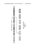 SYSTEM AND METHOD FOR PROVIDING AN ACTIVELY INVALIDATED CLIENT-SIDE     NETWORK RESOURCE CACHE diagram and image