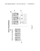 PASSIVE MONITORING SYSTEM diagram and image