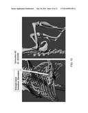 Rodents With Conditional Acvr1 Mutant Alleles diagram and image