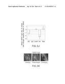 Methods of Affecting Plant Growth With MicroRNA diagram and image