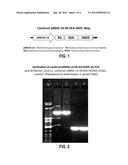 Genetically Modified Plants that are Herbivore-Resistant diagram and image