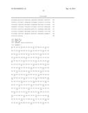 Genetically Modified Plants that are Insect-Resistant and/or Rot Resistant diagram and image