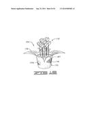 FLORAL PACKAGING FORMED OF OXO-BIODEGRADABLE POLYMERIC MATERIALS AND     METHODS OF PRODUCING AND USING SAME diagram and image