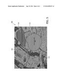 LIGHTING REQUIREMENTS GENERATION SYSTEM AND METHOD diagram and image