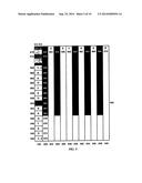 PIANO KEYBOARD WITH KEY TOUCH POINT DETECTION diagram and image