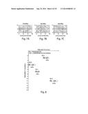 METHOD AND APPARATUS FOR WIRELESS COMMUNICATION IN A MESH NETWORK USING     FREQUENCY SCHEDULE diagram and image