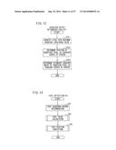 HUMAN DETECTION DEVICE diagram and image