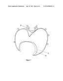 HEART IMAGING METHOD diagram and image