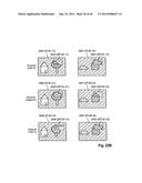 METHOD FOR COPY PROTECTION diagram and image