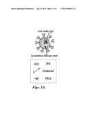 NANOPARTICLE FOR TARGETING BRAIN TUMORS AND DELIVERY OF O6-BENZYLGUANINE diagram and image