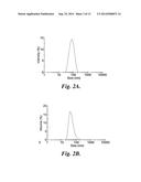 NANOPARTICLE FOR TARGETING BRAIN TUMORS AND DELIVERY OF O6-BENZYLGUANINE diagram and image