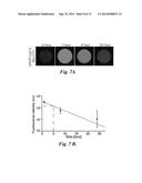 NANOPARTICLE FOR TARGETING BRAIN TUMORS AND DELIVERY OF O6-BENZYLGUANINE diagram and image