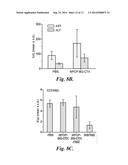 NANOPARTICLE FOR TARGETING BRAIN TUMORS AND DELIVERY OF O6-BENZYLGUANINE diagram and image