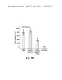 NANOPARTICLE FOR TARGETING BRAIN TUMORS AND DELIVERY OF O6-BENZYLGUANINE diagram and image