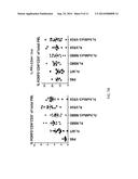 INTERLEUKIN-2 MUTEINS FOR THE EXPANSION OF T-REGULATORY CELLS diagram and image