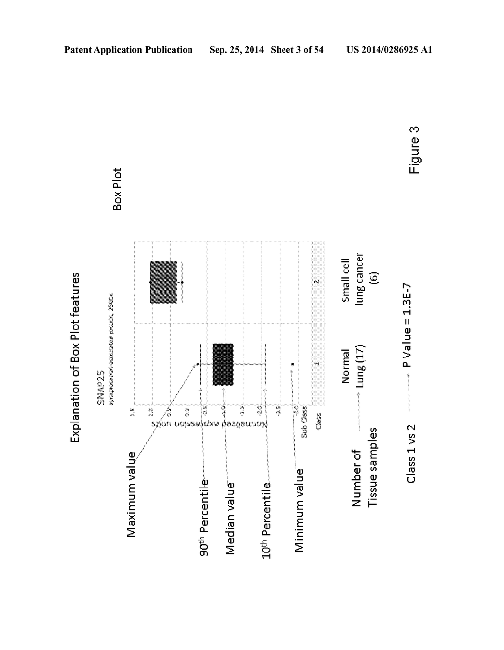 SUPPRESSION OF CANCER - diagram, schematic, and image 04