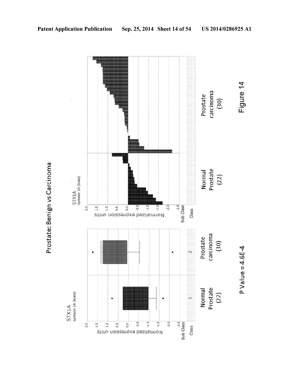 SUPPRESSION OF CANCER - diagram, schematic, and image 15