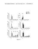 METHOD FOR TREATMENT OR PREVENTION OF ALLERGIC DISEASES diagram and image