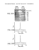 METHODS FOR TREATING SCLERODERMA BY ADMINISTERING A SOLUBLE CTLA4 MOLECULE diagram and image