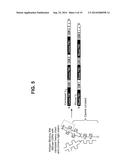 Interleukin-31 Monoclonal Antibody diagram and image