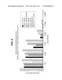 Interleukin-31 Monoclonal Antibody diagram and image