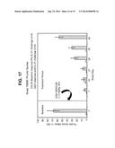 Interleukin-31 Monoclonal Antibody diagram and image