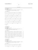 Interleukin-31 Monoclonal Antibody diagram and image