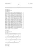 Interleukin-31 Monoclonal Antibody diagram and image