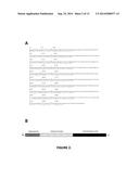 Protein F - A Novel Haemophilus Influenzae Adhesin with Laminin and     Vitronectin binding Properties diagram and image