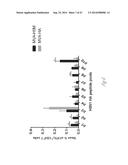 BROADLY REACTIVE MOSAIC PEPTIDE FOR INFLUENZA VACCINE diagram and image