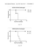 BROADLY REACTIVE MOSAIC PEPTIDE FOR INFLUENZA VACCINE diagram and image