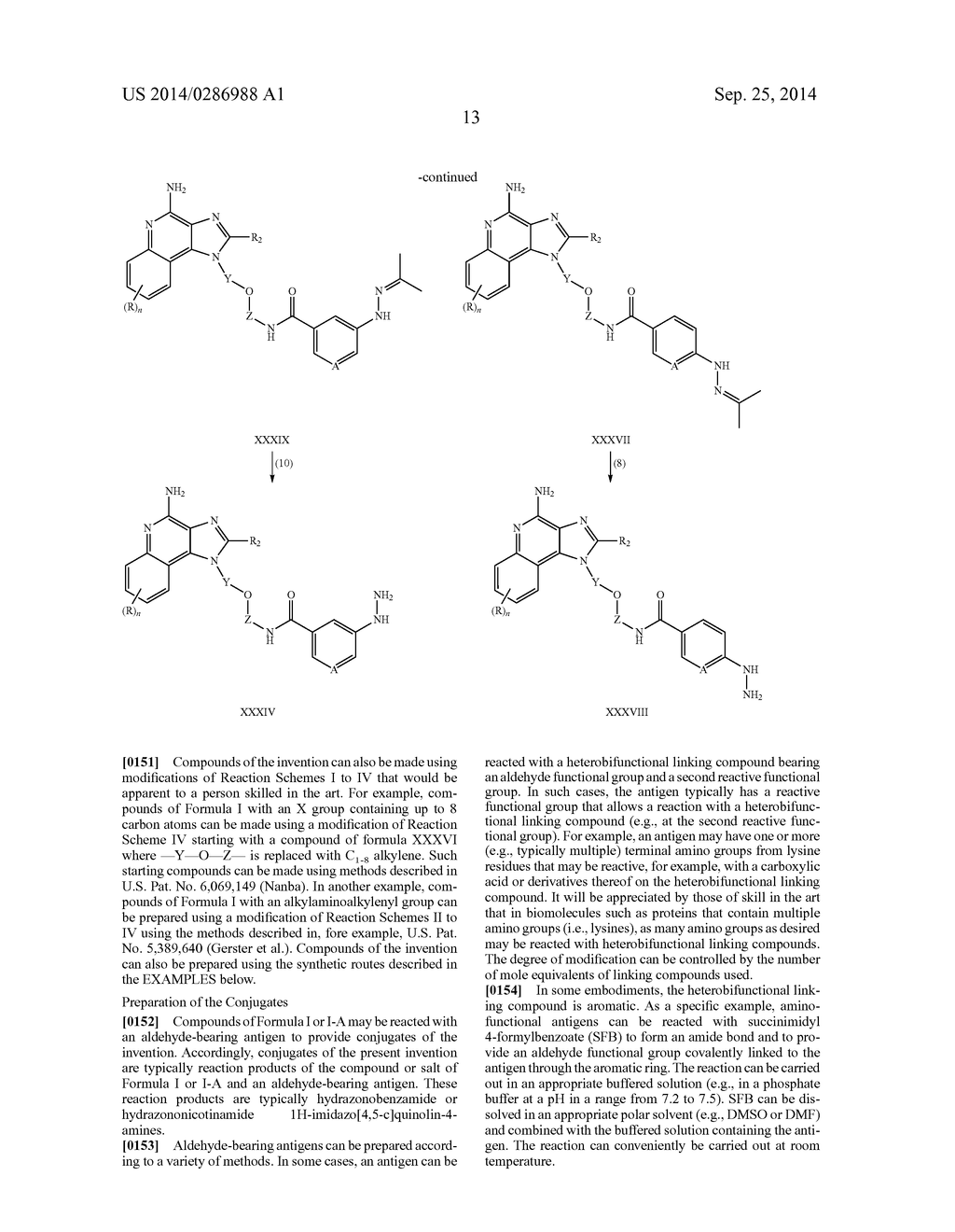 HYDRAZINO 1H-IMIDAZOQUINOLIN-4-AMINES AND CONJUGATES MADE THEREFROM - diagram, schematic, and image 14