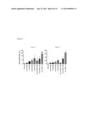 NOROVIRUS VACCINE FORMULATIONS diagram and image