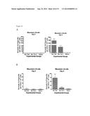 NOROVIRUS VACCINE FORMULATIONS diagram and image