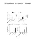 Modified Gram-Negative Bacteria For Use As Vaccines diagram and image