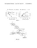 Modified Gram-Negative Bacteria For Use As Vaccines diagram and image