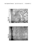 Solid Forms for Tissue Repair diagram and image