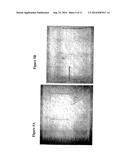 Solid Forms for Tissue Repair diagram and image