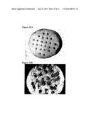 Solid Forms for Tissue Repair diagram and image