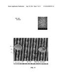 Implantable Devices for Delivery of Bioactive Agents diagram and image