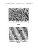 Implantable Devices for Delivery of Bioactive Agents diagram and image