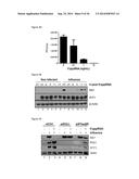 5 -TRIPHOSPHATE OLIGORIBONUCLEOTIDES diagram and image