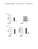 5 -TRIPHOSPHATE OLIGORIBONUCLEOTIDES diagram and image