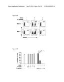 5 -TRIPHOSPHATE OLIGORIBONUCLEOTIDES diagram and image